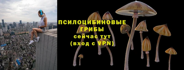 шишки Нея