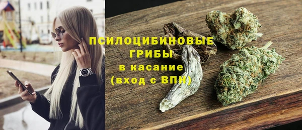 шишки Нея