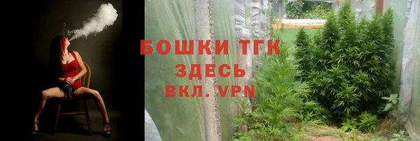шишки Нея