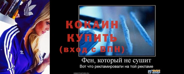 шишки Нея