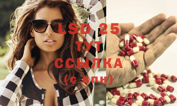 шишки Нея