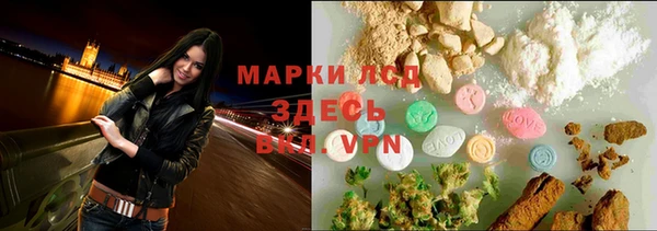 шишки Нея